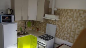 Квартира 1- комнатная _ кухня 